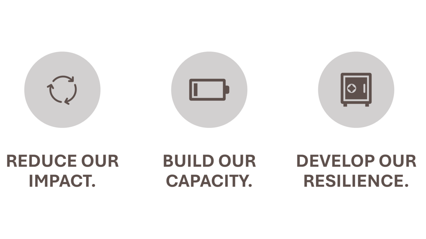 'Reduce our impact', 'build our capacity' and 'develop our resilience', the strategic directions guiding planetary health